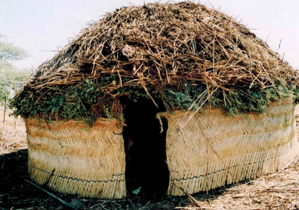 Traditional Hut, Borno State, Nigeria, 2006
